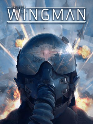 Project Wingman boxart