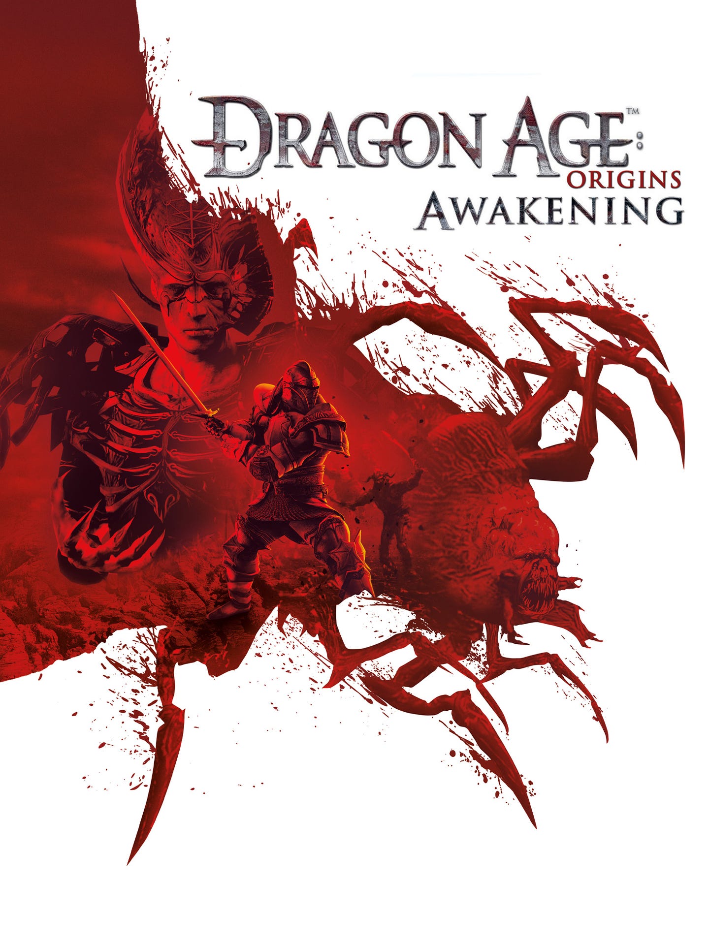 Dragon Age Origins Awakening Dragon Age Origins Awakening