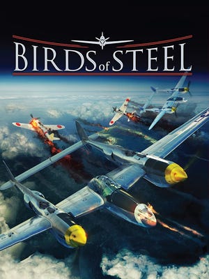 Birds of Steel boxart