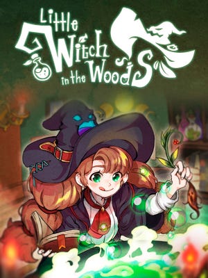 Little Witch In The Woods boxart