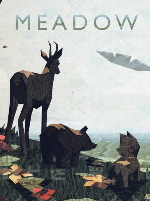 Meadow boxart