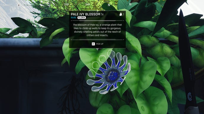 A screenshot of a Pale Ivy Blossom plant in The Cycle: Frontier.