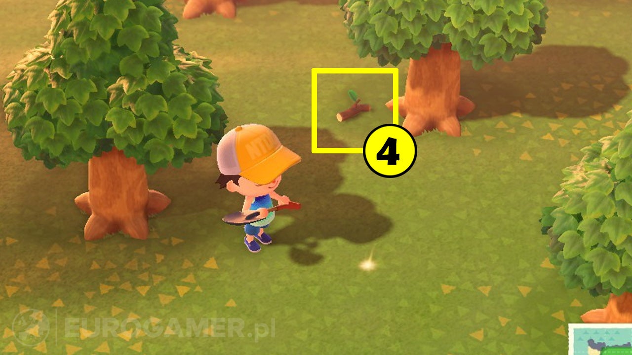 Animal Crossing drewno i gałęzie jak zdobyć Wood, Softwood, Hardwood
