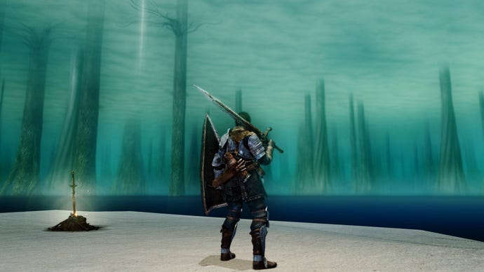 The player character in Dark Souls stands on a shoreline, back to the camera, looking at the remains of the giant archtrees in the blue, misty distance