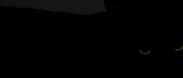 Embrace The Dark: Gamma Screen Gratitude