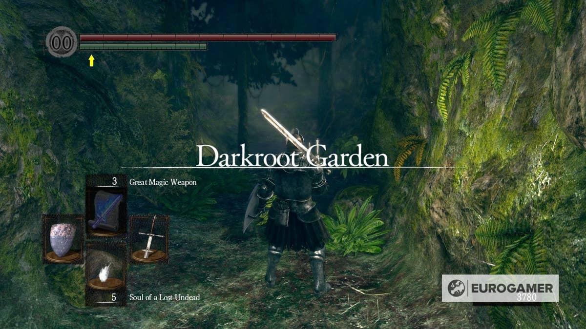 Dark Souls Darkroot Garden Strategy
