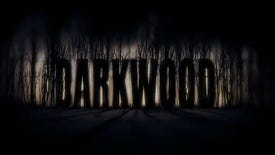 Image for Fear And Roaming: Darkwood
