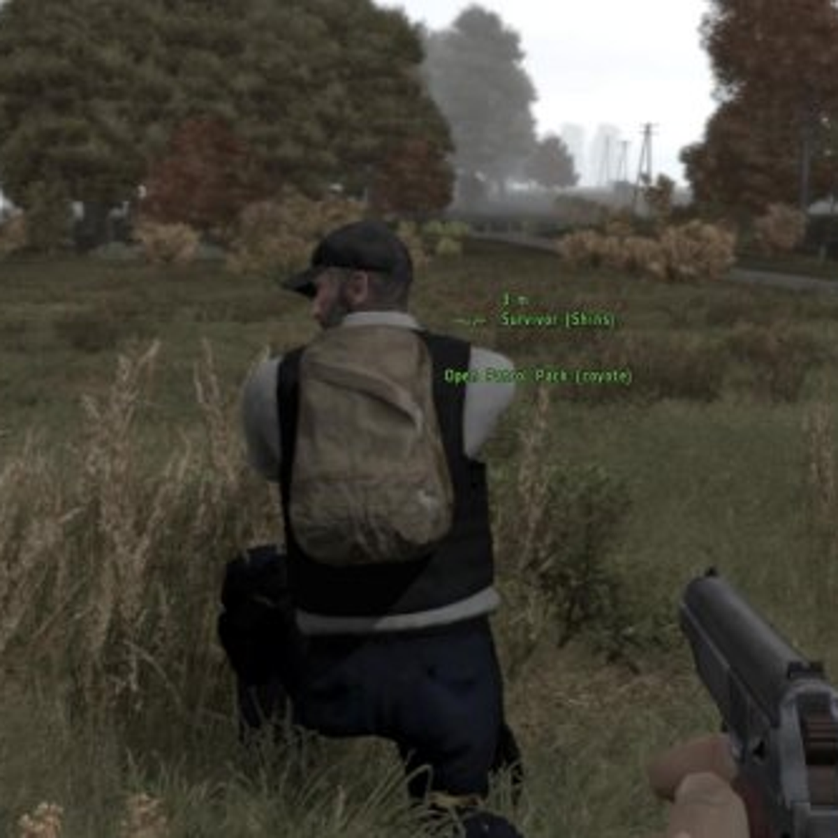 DayZ: how to survive in the world's most brutal zombie game