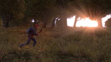 Dean Rocket Hall Responds To DayZ's Steam Early Access