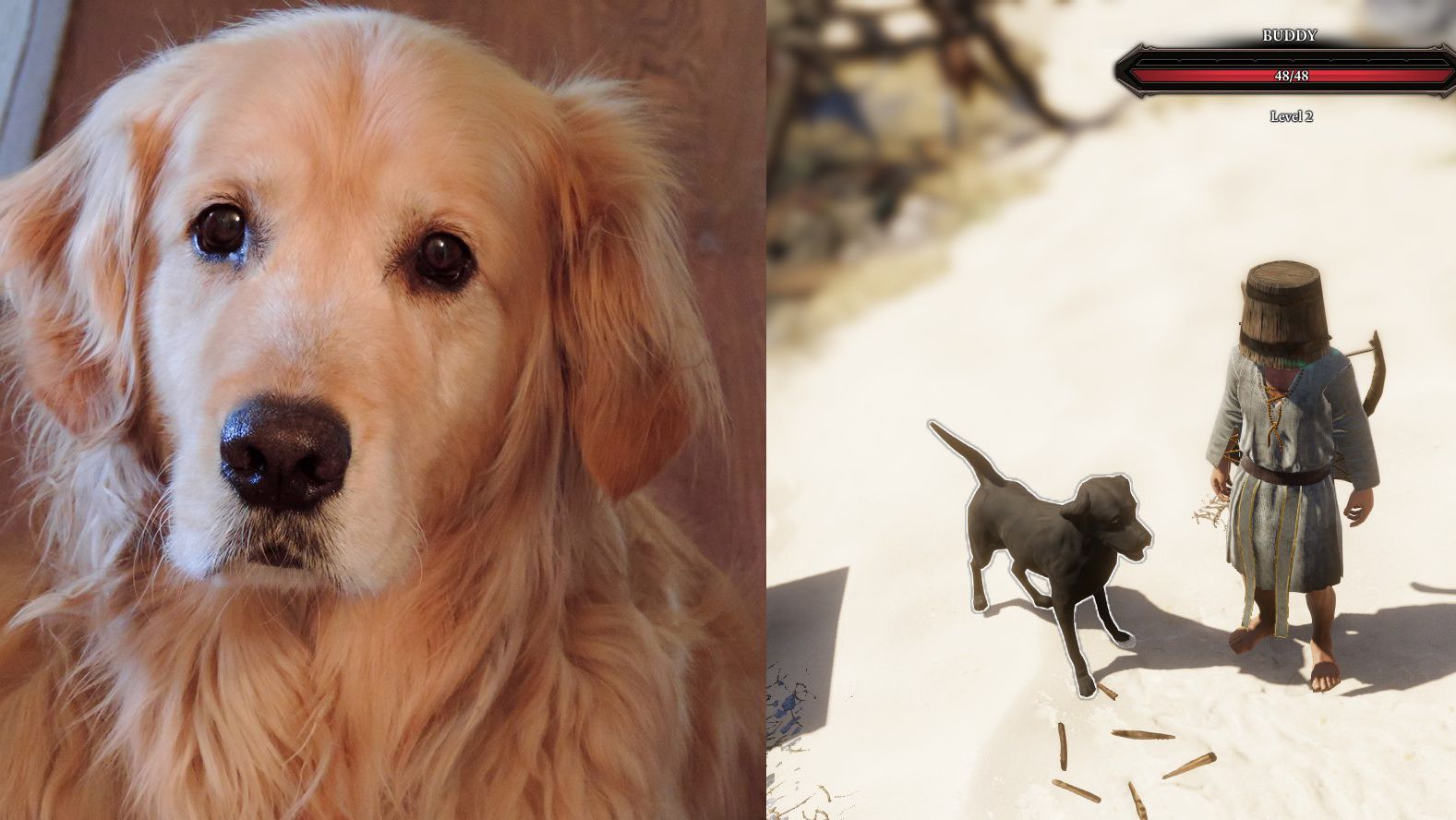 Image for The pets immortalised in videogames by their developer owners