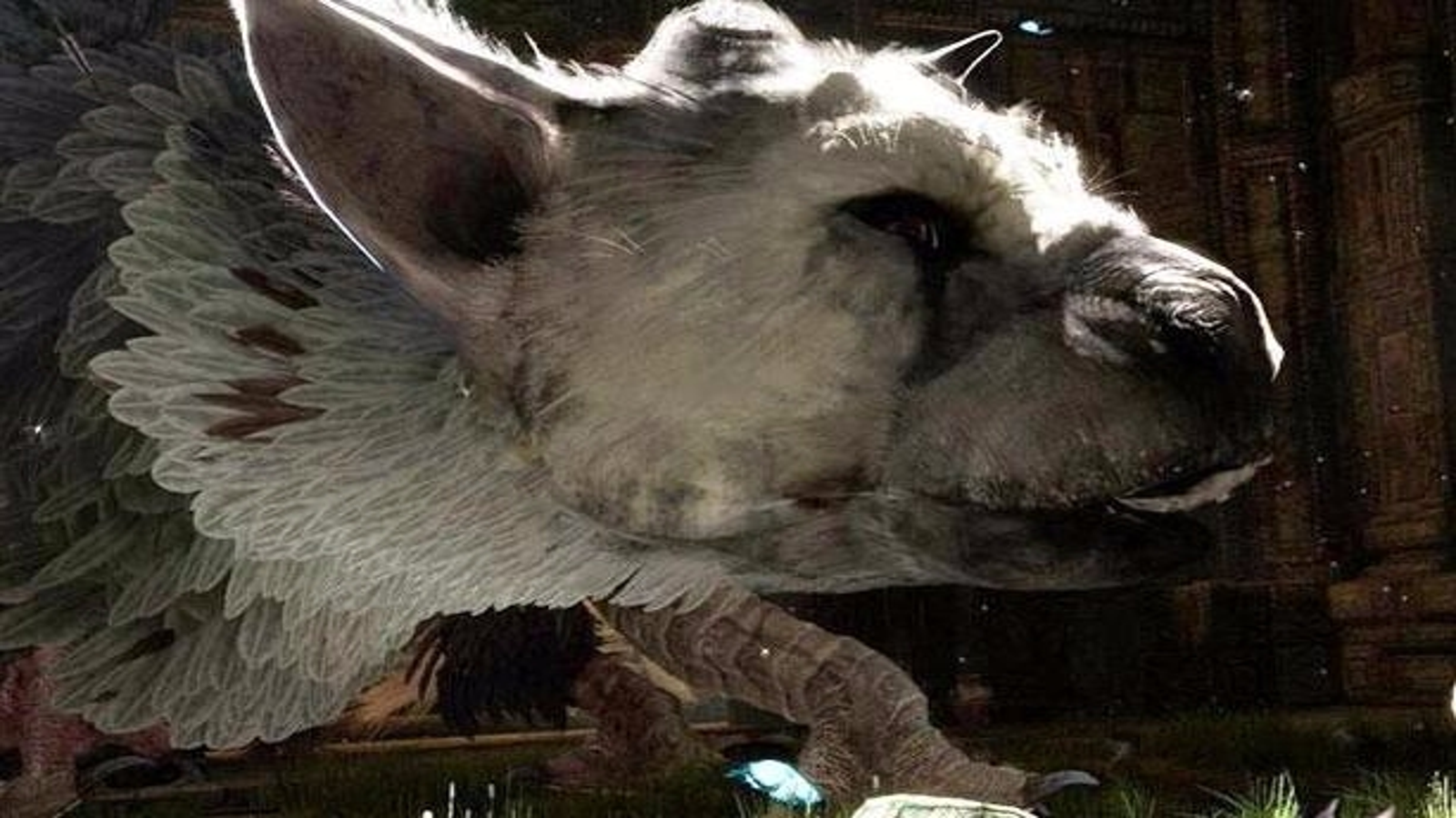 Cryptozoologist trophy in The Last Guardian