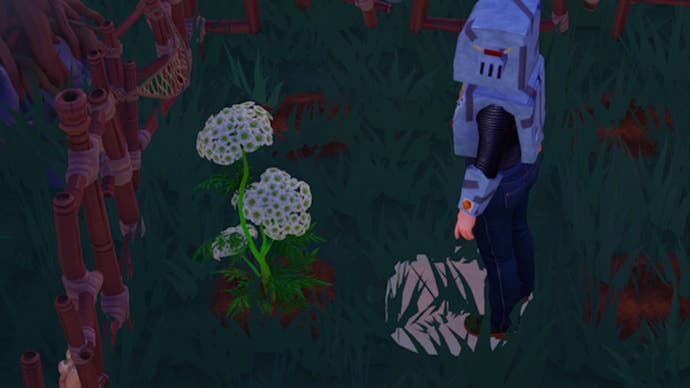 Disney Dreamlight Valley player next to a cumin plant