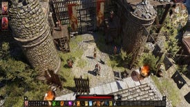 Divinity: Original Sin 2 just killed my adopted cat, and I don't know what to do with myself
