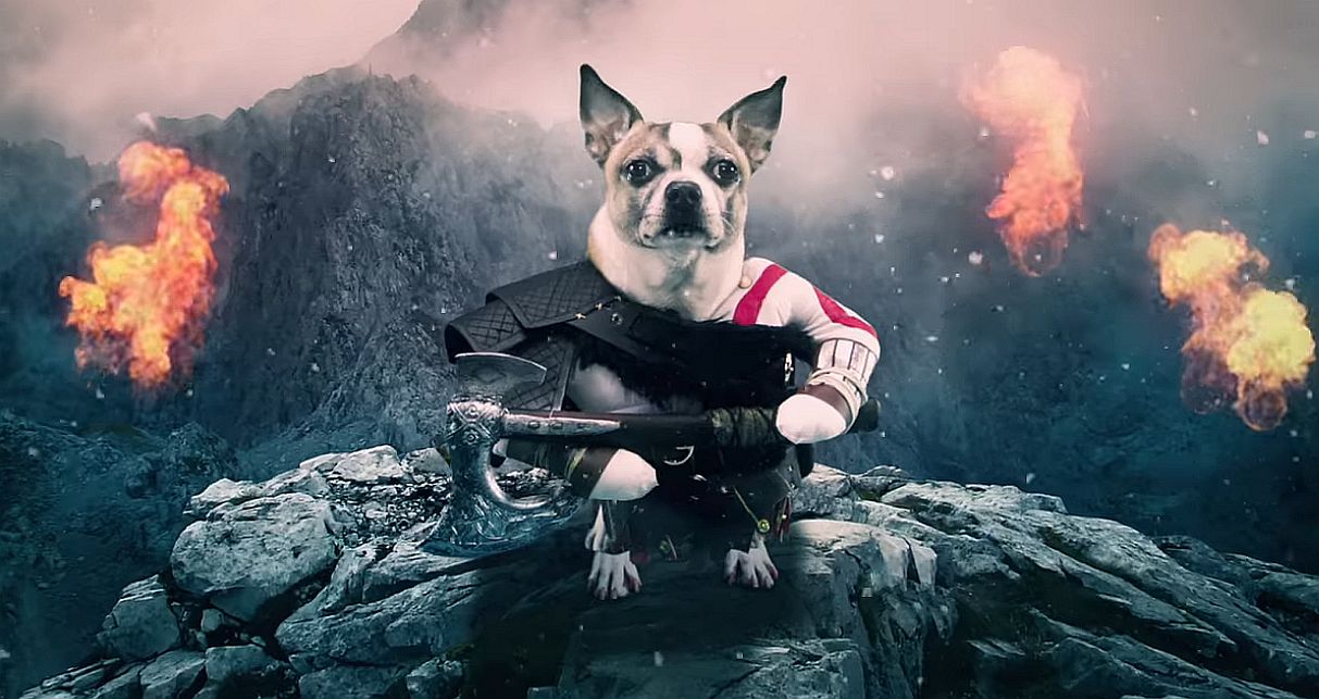 Here's a fun God of War video starring dogs called Dog of War | VG247