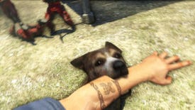 Protecting video game dogs and the silly lengths I go to