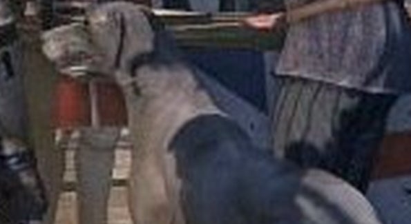 Assassin's Thr33d Scr33ns L3ak