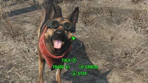 This Dog's Prescription Goggles Make Him Look Like Fallout 4's Famous Pupper