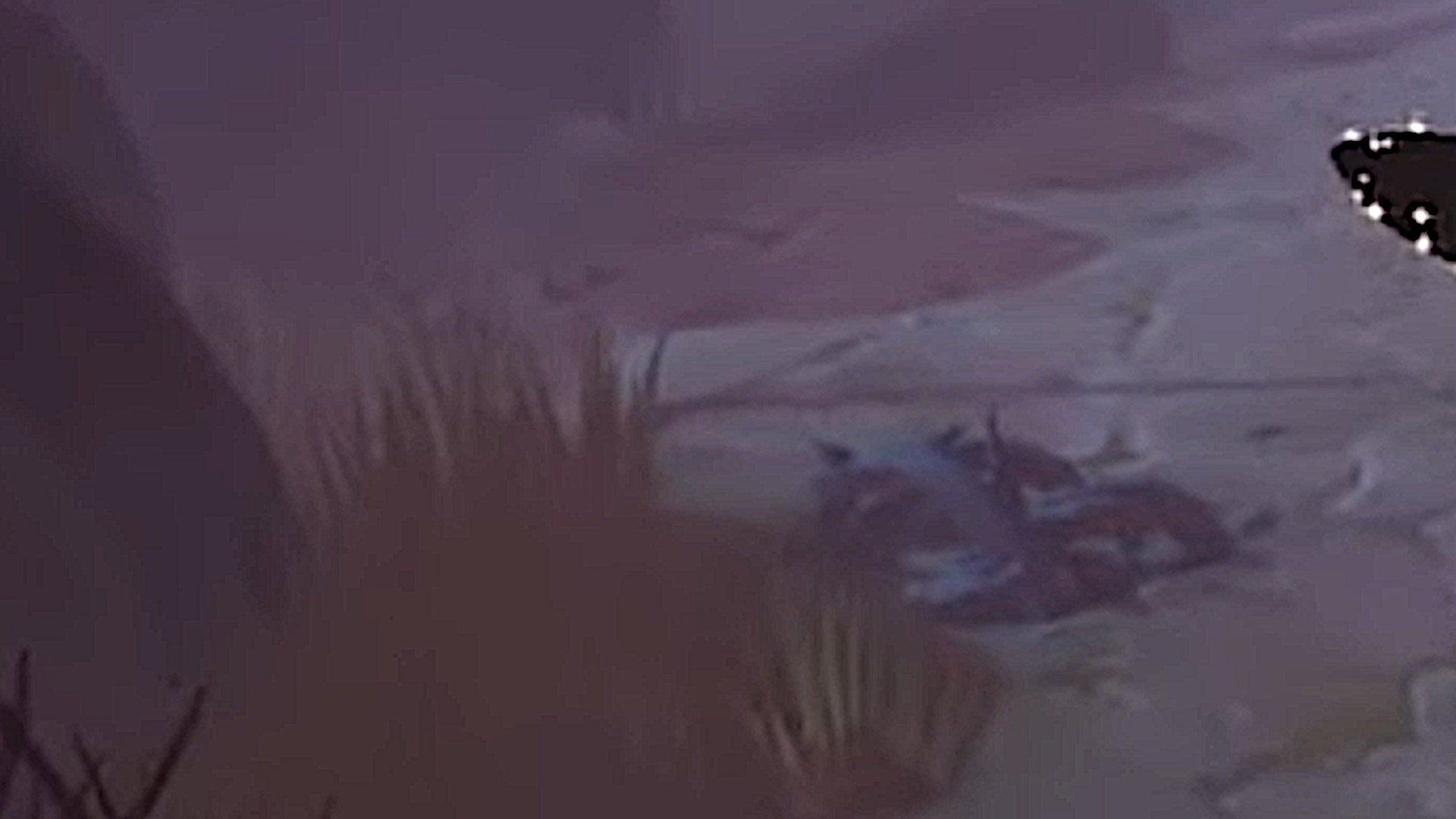 Disney Dreamlight Valley Eyes in the Dark quest guide VG247