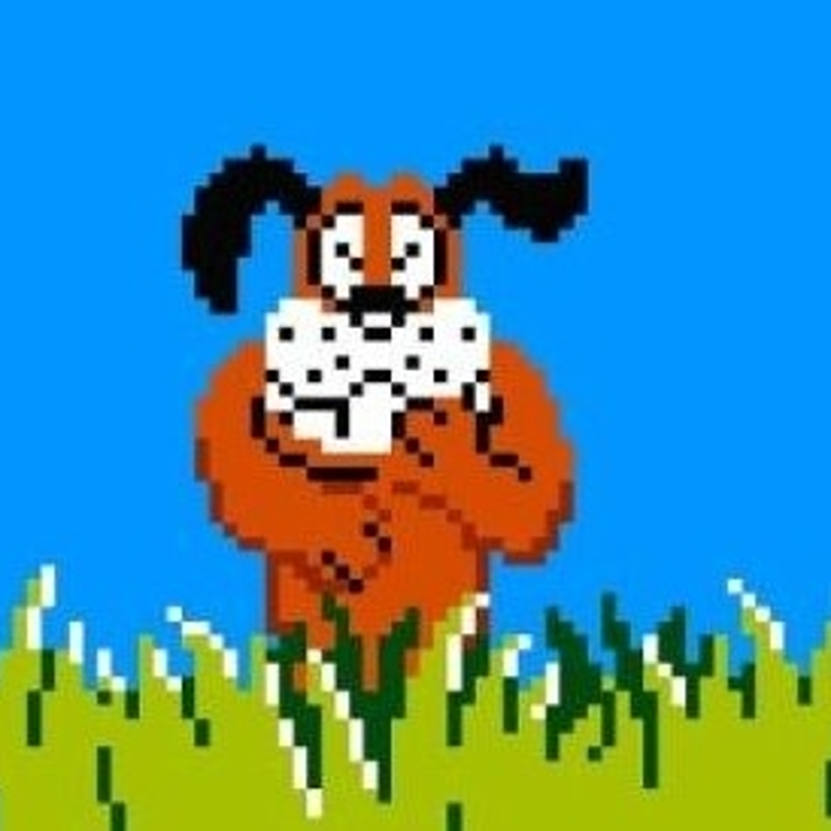 Vervelen ambitie eten NES Duck Hunt headed to Wii U Virtual console | Eurogamer.net