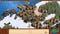 Age of Empires II HD screenshot