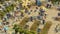 Age of Empires Online screenshot