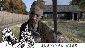 Every Death You Take: Perma-Permadeath in DayZ