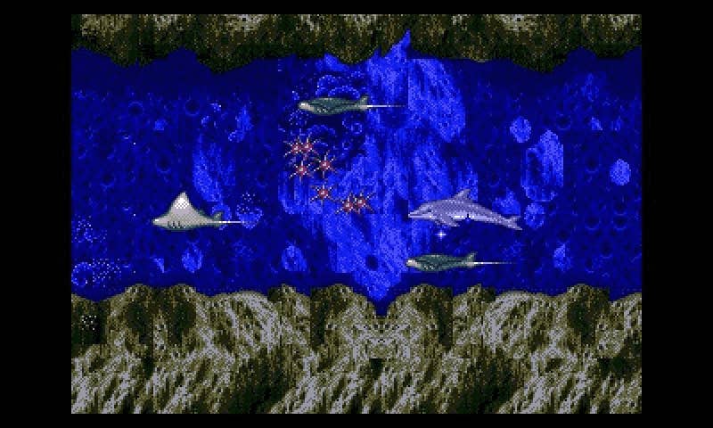 Ecco 3d sales