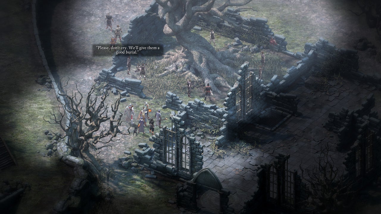 How to Find and Recruit All 8 Companions in Pillars of Eternity VG247