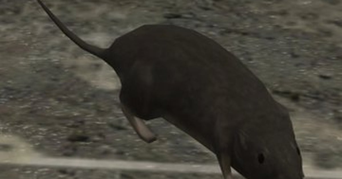 Halo 3 rat mod has you desperately trying to gun down enemy vermin | VG247