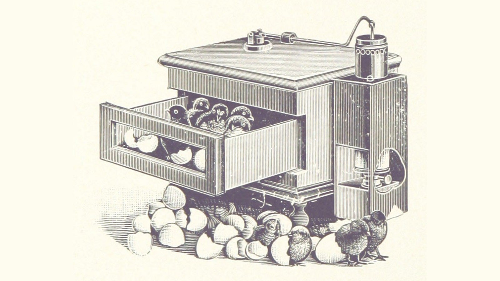 Image for Devs from Failbetter, Red Hook and ArenaNet to face the impossible at PAX West