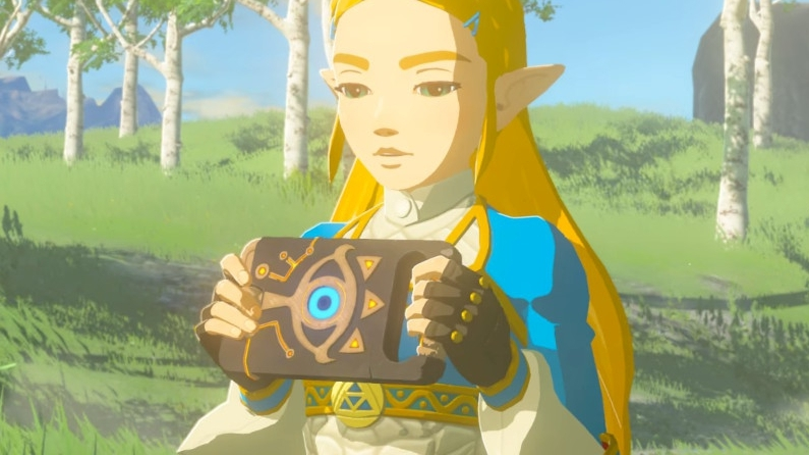 Zelda Breath Of The Wild Princes Zelda Pop