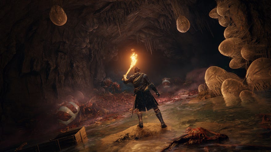 A warrior holds up a burning torch in a dark cave filled with ants and eggs in an Elden Ring screenshot.