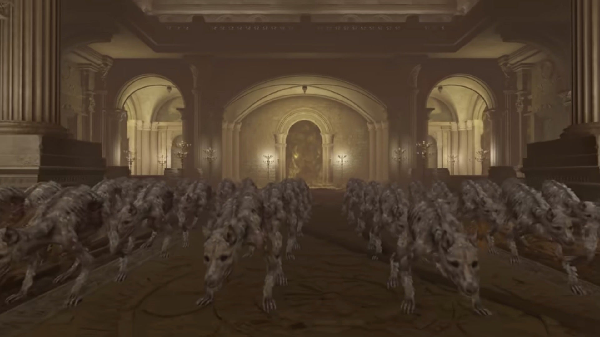 Elden Ring YouTuber Pits 50 Of Caelid S Starved Dogs Against All The   Elden Ring Dogs 