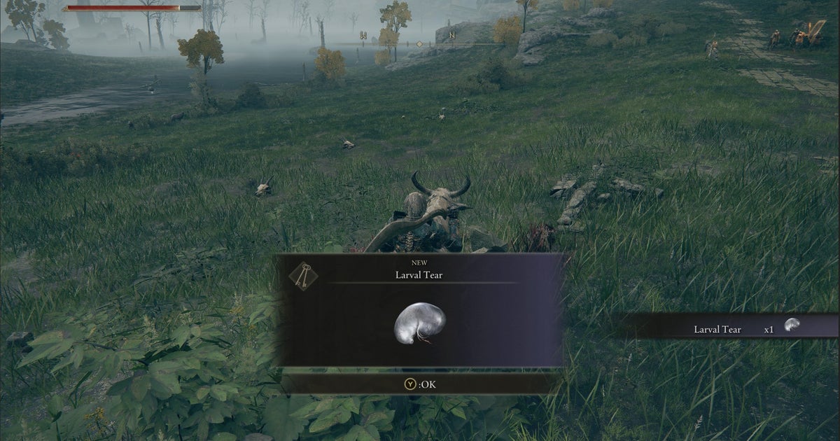 How to respec and reset stats in Elden Ring: Where do you find Larval ...