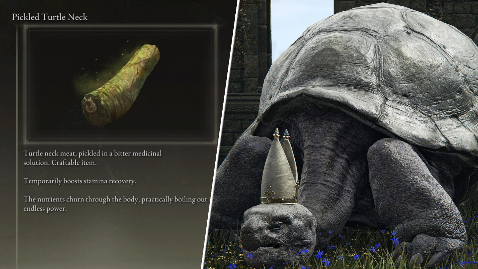 Elden Ring's turtles are so much more than grade-A meme fodder