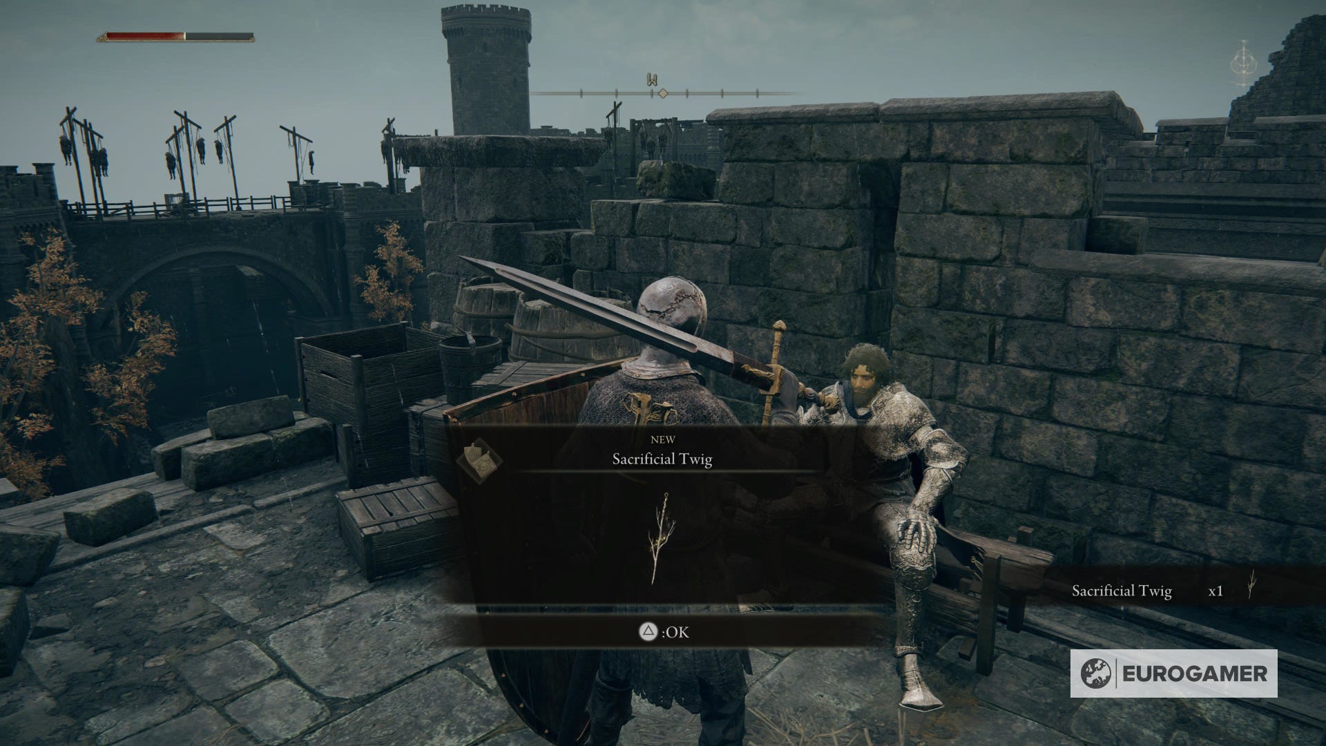 Elden Ring Irina quest, Castle Morne location and how to deliver the