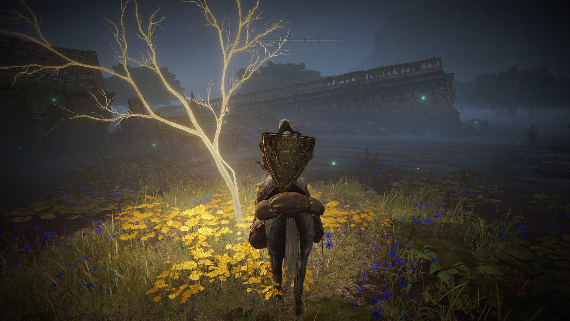 Elden Ring Golden Seed locations