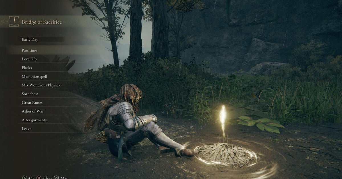 Elden Ring Can you pause? How do you save? How do you level up? and