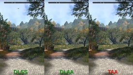 A spliced-together screenshot of The Elder Scrolls Online, showing the game running with DLSS, DLAA and TAA anti-aliasing respectively.
