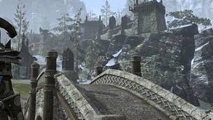 Image for The Elder Scrolls Online's PvP developer spills many details on maps, guilds, combat & more