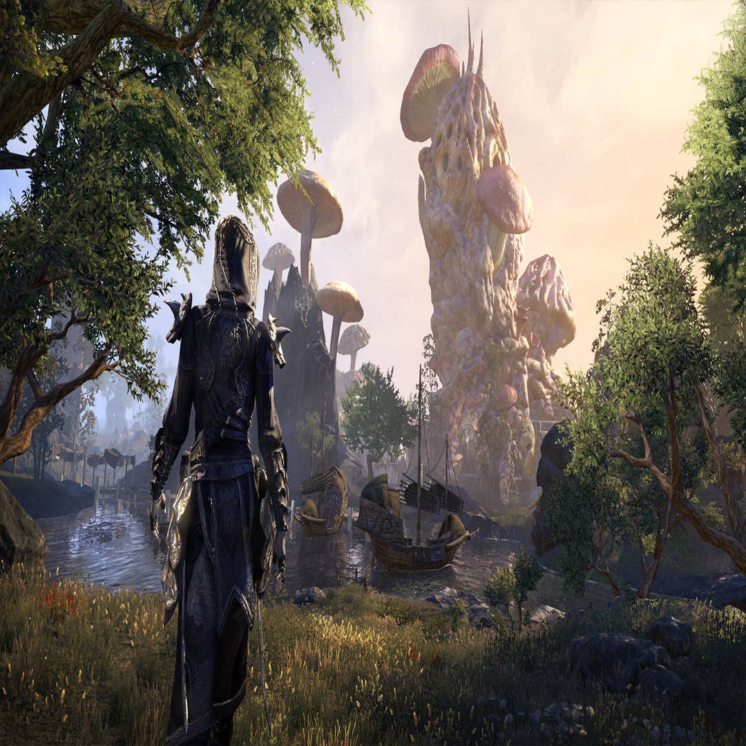 The Elder Scrolls 6 announcement slammed by angry fans