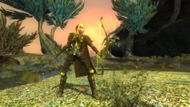 Privilege Issues: Start Everquest II At Level 85