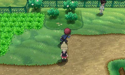 Pokémon X & Y - Special Characters