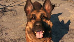 Fallout 76 is getting pets
