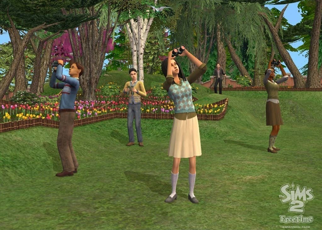 The Sims 2: FreeTime