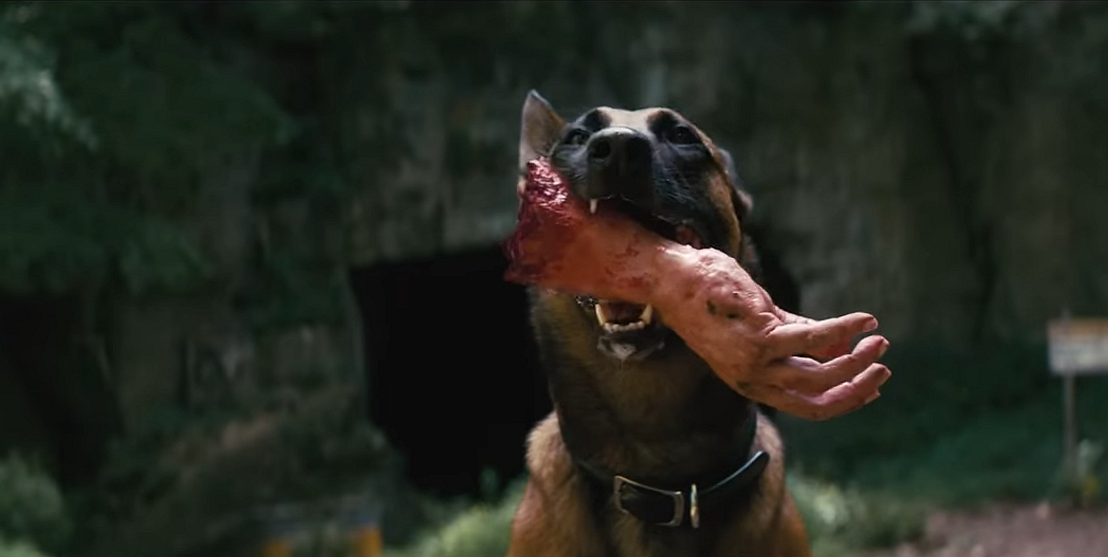 Fallout trailer makes us wish Prime was airing the show sooner