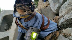 Vault Cat proves felines aren't extinct in the Fallout universe after all 