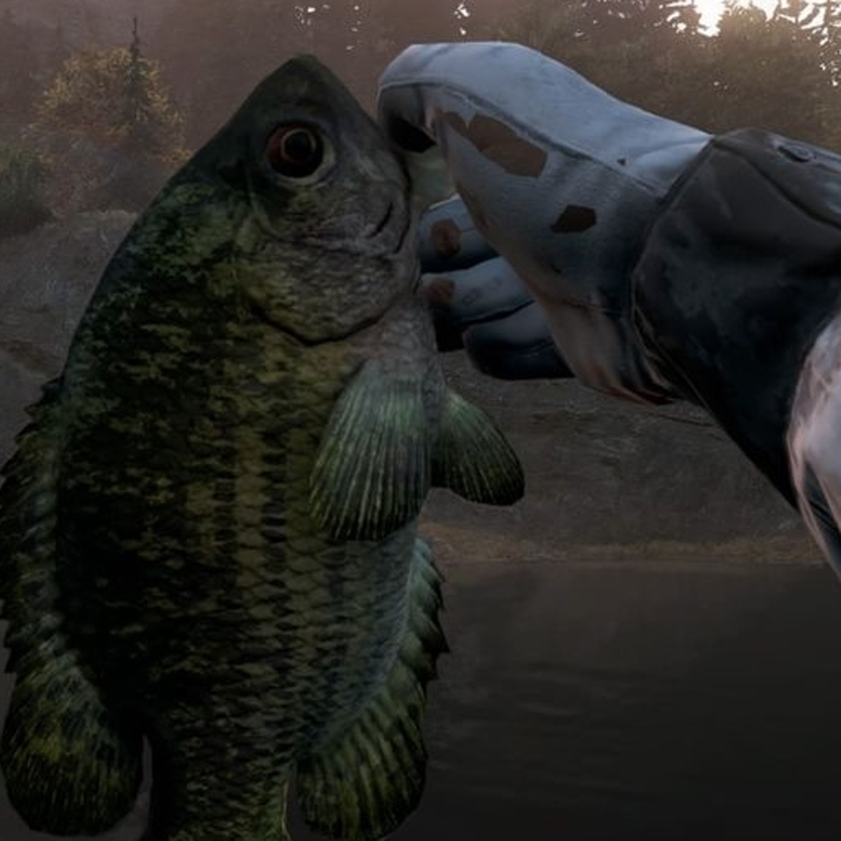 Фар край 5 рыбы. Рыба Адмирал в far Cry 5. Fishing far Cry 5. Far Cry 5 рекорды рыбалки. Рыба в фар край 5.