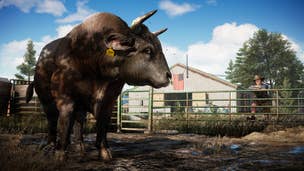Far Cry 5 features wingsuits and animals that have sex with each other, truly offering something for everyone