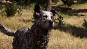 Far Cry 5 compilation video introduces some handy folks to have around